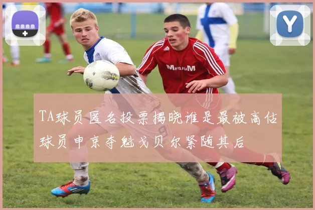 TA球员匿名投票揭晓谁是最被高估球员申京夺魁戈贝尔紧随其后